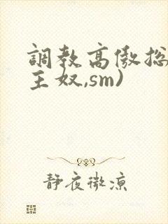 调教高傲总裁(主奴,sm)