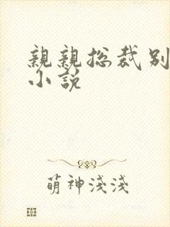 亲亲总裁别太坏小说