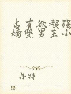 占有欲超强的病娇双男主小说