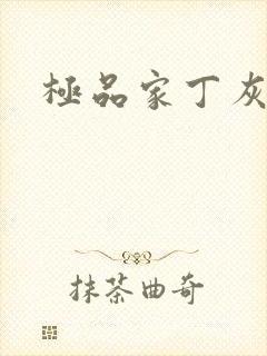 极品家丁灰绿帽封面