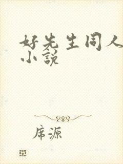 好先生同人改编小说