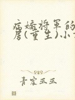 病娇将军的小通房(重生)小说