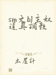 sm文bl主奴道具调教