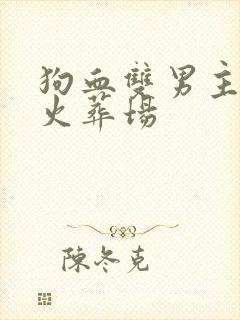 狗血双男主追妻火葬场