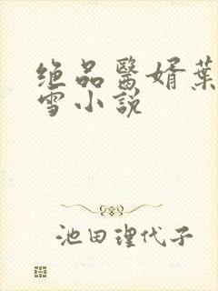 绝品医婿叶凡唐雪小说封面