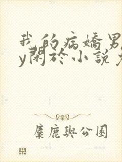 我的病娇男友by闲于小说免费阅读