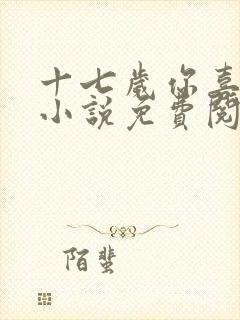 十七岁你喜欢谁小说免费阅读