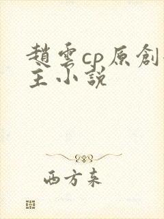 赵云cp原创女主小说