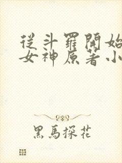 从斗罗开始俘获女神原著小说封面