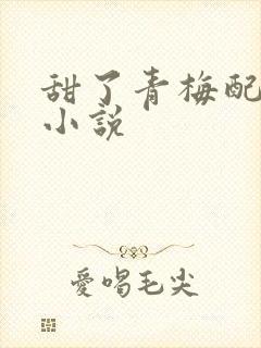 甜了青梅配竹马小说