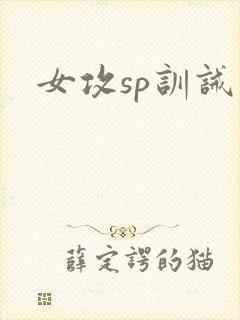 女攻sp训诫文