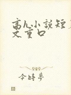 高h小说短篇辣文重口封面