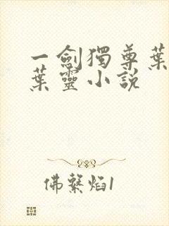 一剑独尊叶玄,叶灵小说