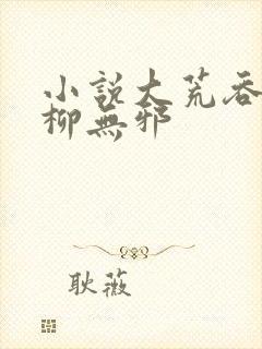 小说大荒吞天诀柳无邪