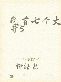 我有七个大佬哥哥5