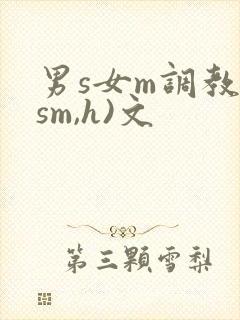 男s女m调教(sm,h)文