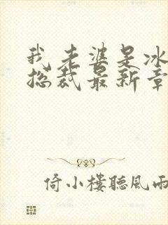 我老婆是冰山女总裁最新章节小说封面