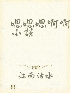 嗯嗯嗯啊啊高h小说