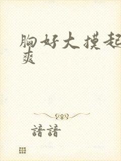 胸好大摸起来好爽