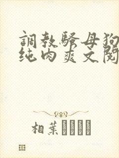 调教骚母狗sm纯肉爽文阅读