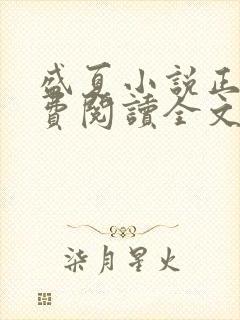 盛夏小说正版免费阅读全文无弹窗封面