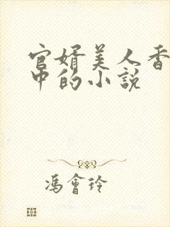 官婿美人香刘志中的小说