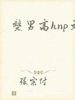 双男高hnp文