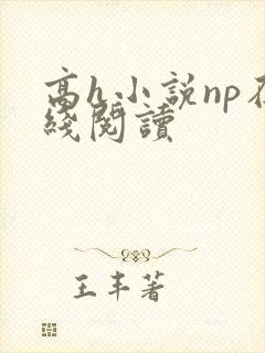 高h小说np在线阅读