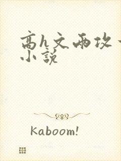 高h文两攻一受小说