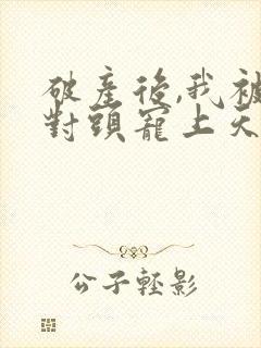 破产后,我被死对头宠上天小说阅读全部封面