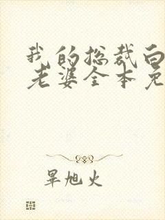 我的总裁白富美老婆全本免费阅读封面