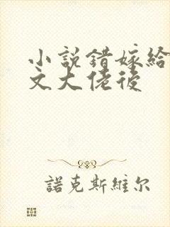 小说错嫁给年代文大佬后