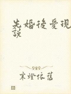 先婚后爱现言小说