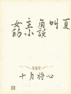 女主角叫夏以沫的小说