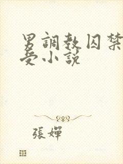 男调教囚禁双性受小说封面