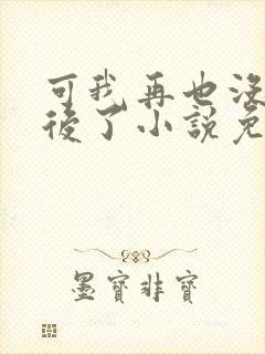 可我再也没有以后了小说免费阅读