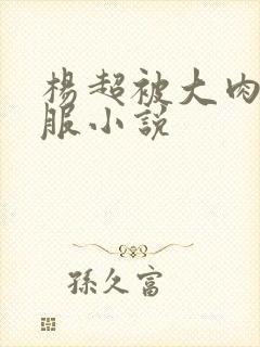 杨超被大肉楱征服小说