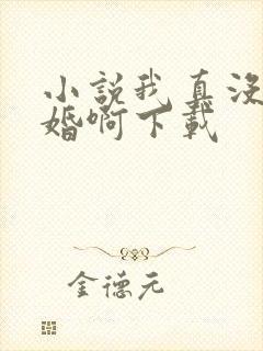 小说我真没想结婚啊下载