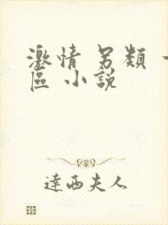 激情 另类 一区 小说