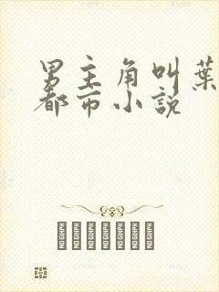 男主角叫叶寒的都市小说