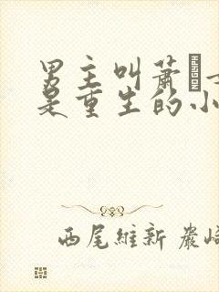 男主叫萧玦女主是重生的小说