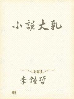 小说大乳封面