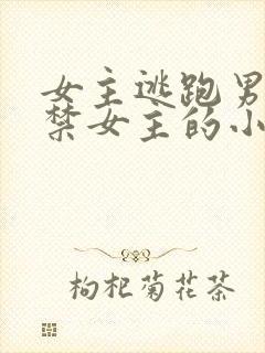 女主逃跑男主囚禁女主的小说