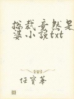 总裁竟然是我老婆小说txt