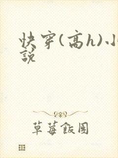 快穿(高h)小说封面