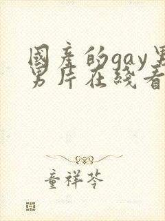 国产的gay男男片在线看