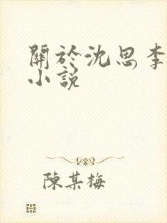 关于沈思李兵的小说封面