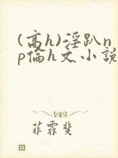 (高h)淫趴np伦h文小说