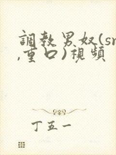 调教男奴(sm,重口)视频