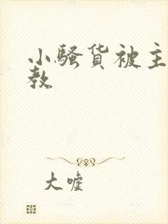 小骚货被主人调教